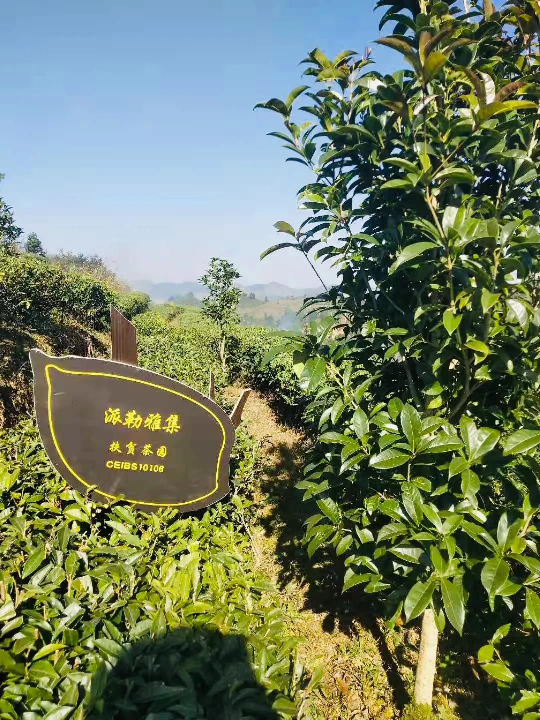 1621229939574014.jpg 微信圖片_20210517133800.jpg